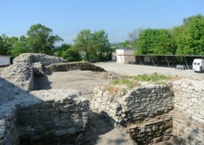 Rosica Kiten2 